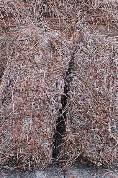 Pine Straw For Sale