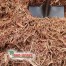 Cedar Mulch