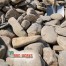 Cane River Rock 4-7 inch