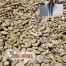 Cane River Rocks 1 to 2 inch