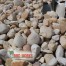 White River Rock For Sale